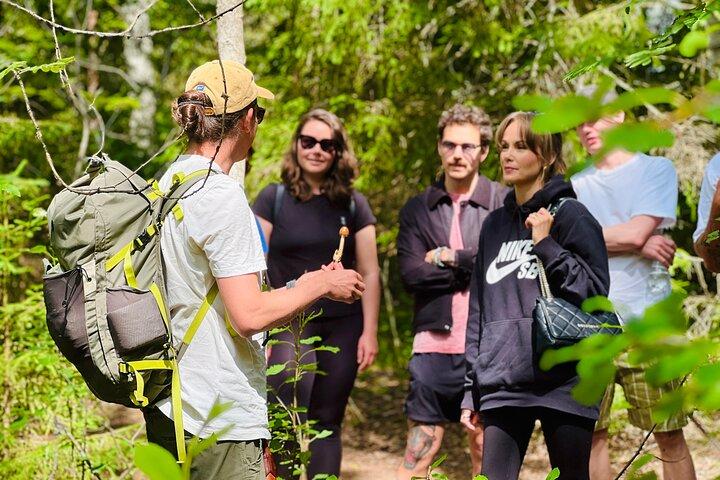 Incantevole pomeriggio nel Parco Nazionale di Nuuksio con merenda da campeggio