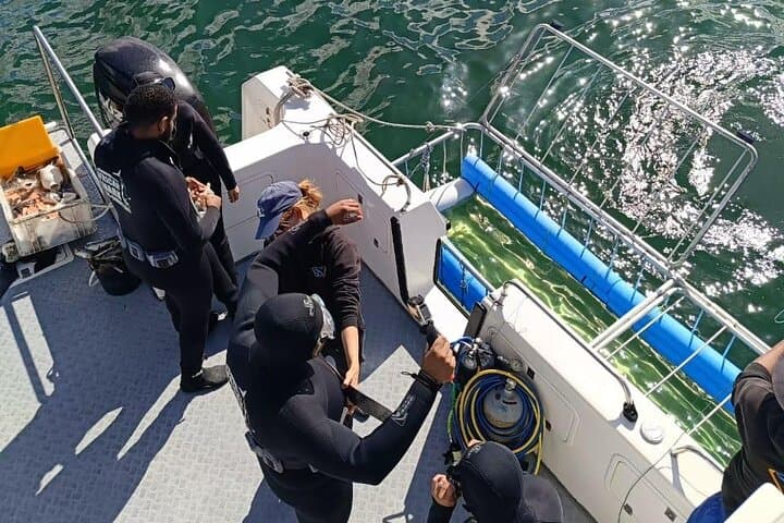 CapeTown: Shark Cage Diving Experience with Scuba