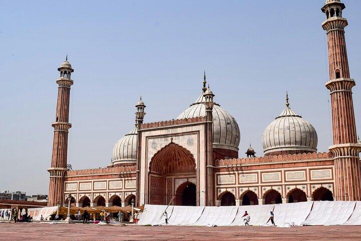 Delhi Private Führung mit Abholung
