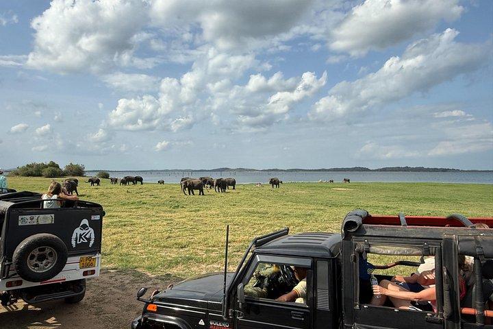 Kaudulla National Park Safari [private , full package]