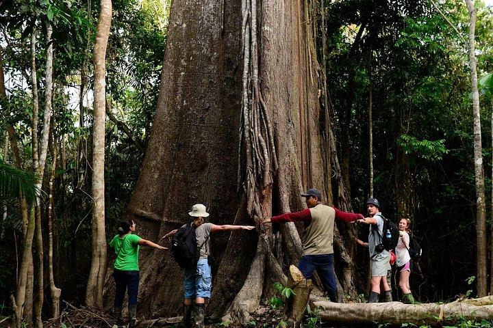 アマゾン川アドベンチャー in パカヤ・サーミリア保護区3日間