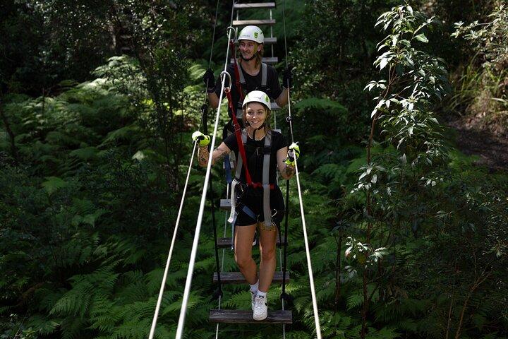 Parque de aventuras de Tamborine Mountain High Ropes y Zipline