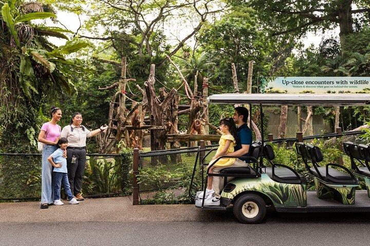 Toegangsbewijs voor de dierentuin van Singapore