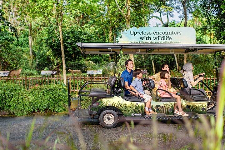 Toegangsbewijs voor de dierentuin van Singapore