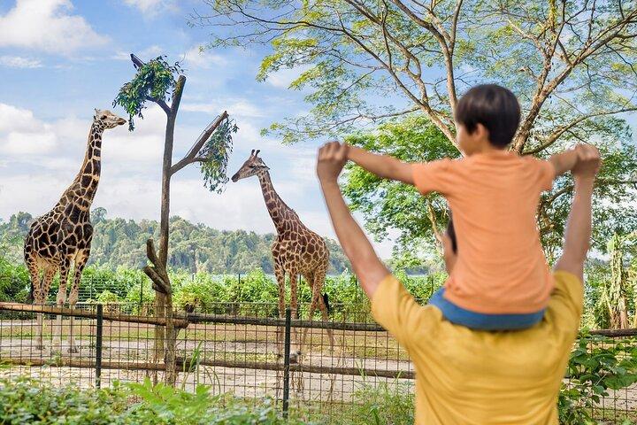 Toegangsbewijs voor de dierentuin van Singapore