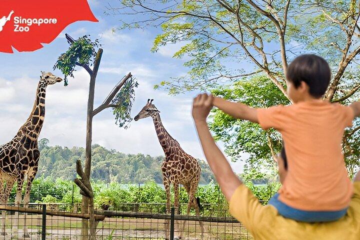 Toegangsbewijs voor de dierentuin van Singapore