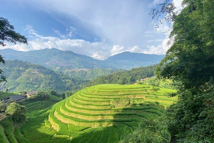 Privat vandringstur i Sapa: Y Linh Ho, Lao Chai & Ta Van