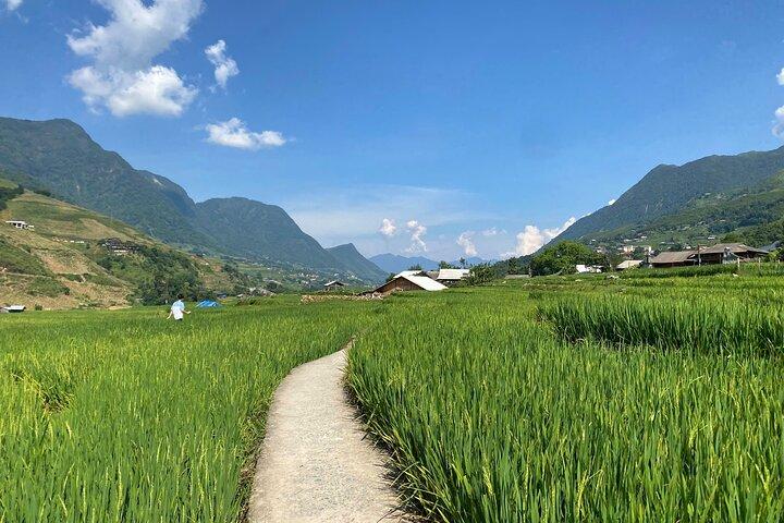 Privat vandringstur i Sapa: Y Linh Ho, Lao Chai & Ta Van