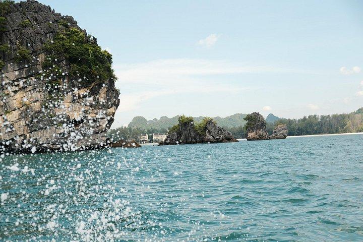 Langkawi Mangrove and Bat Cave Tour