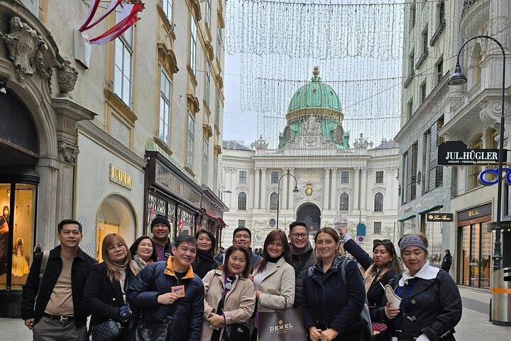 Enamórate de Viena en 2 horas - Grupo pequeño