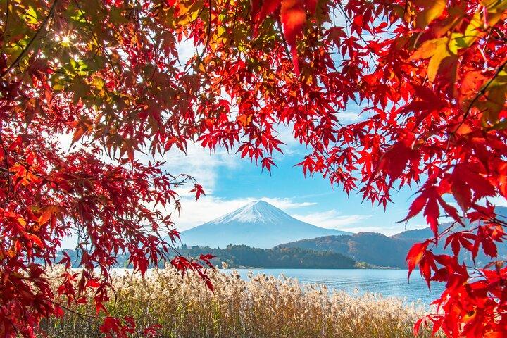 Mt Fuji View and Hakushu Whisky Museum Private Tour from Tokyo