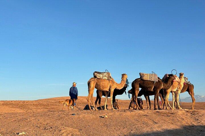 Private Agafay Desert Trip with Camel ride Tour.