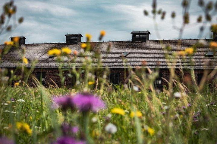 from Kraków: Auschwitz excursion with guaranteed Dutch guide