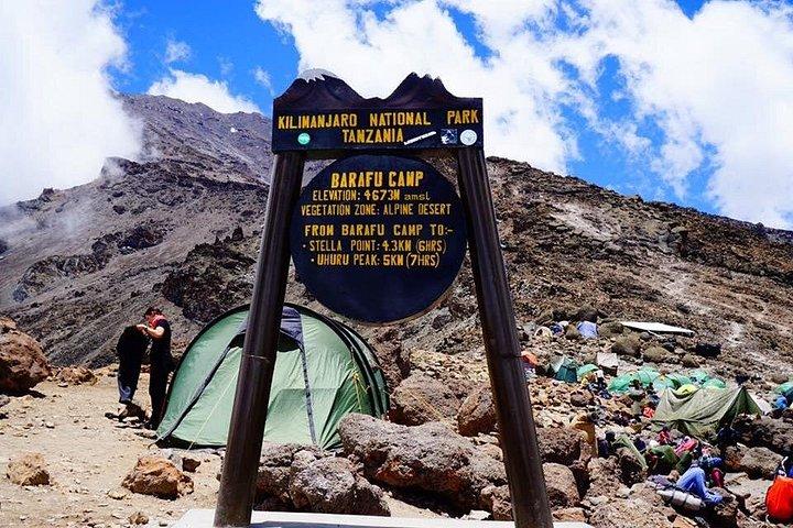 21日ケニアとタンザニアのキリマンジャロ登山サファリとビーチ