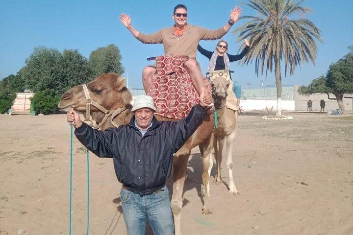 Agadir City Tour Culture, Beaches, and Best Views