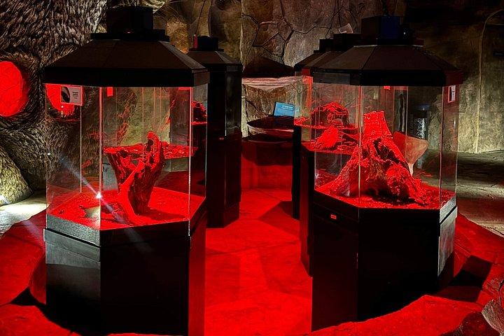 エントピア蝶と自然発見公園入場券ペナン