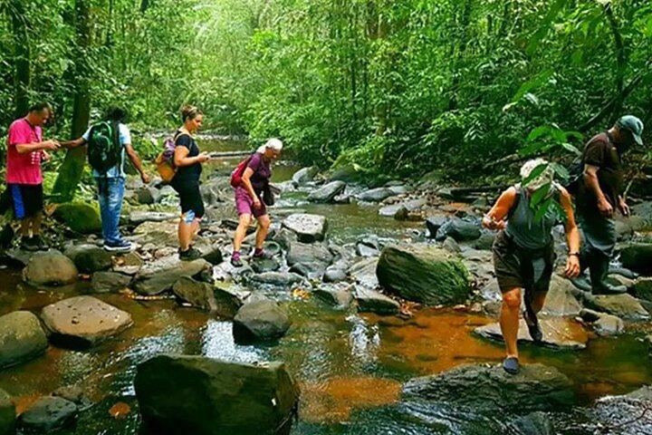 Sinharaja Rainforest Trekking Privat dagstur med lokal frokost