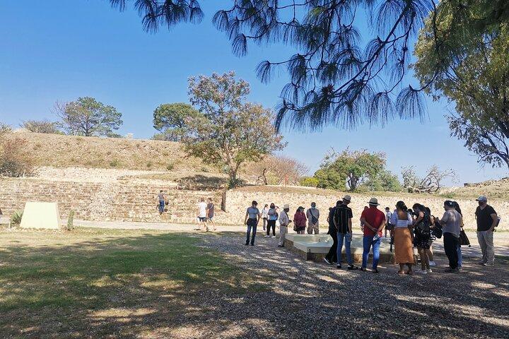 Monte Alban Only - Half Day Guided Tour - Oaxaca