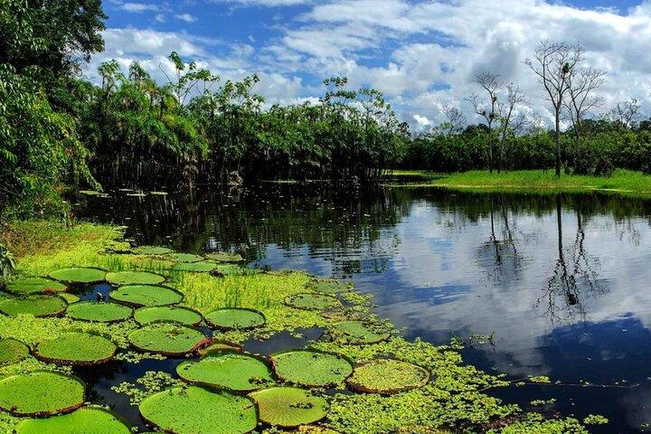 Iquitos Amazonas River Adventure Dia inteiro