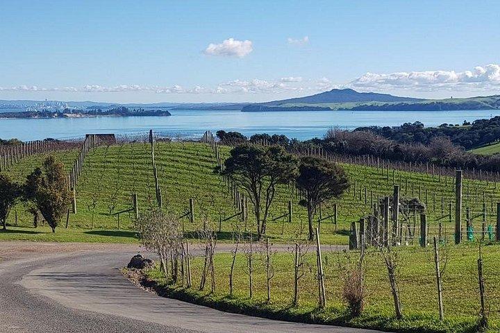 Waiheke Island Private Tours