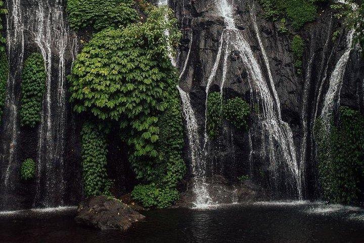 バリ島の隠れた滝：終日ネイチャーアドベンチャーオールインクルシブ