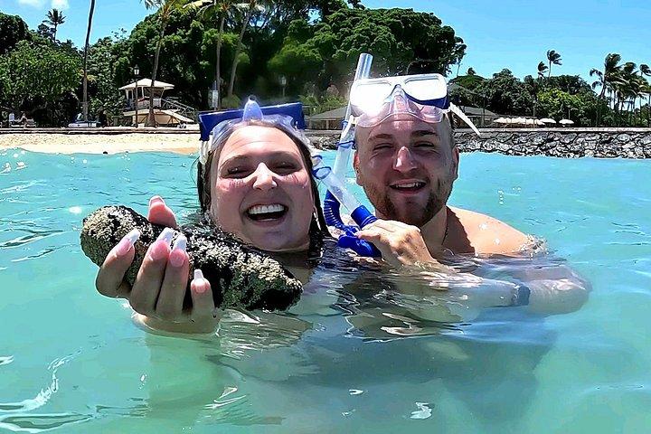 ワイキキでシュノーケリング多くの魚すべてのレベル無料ビデオ＆写真！