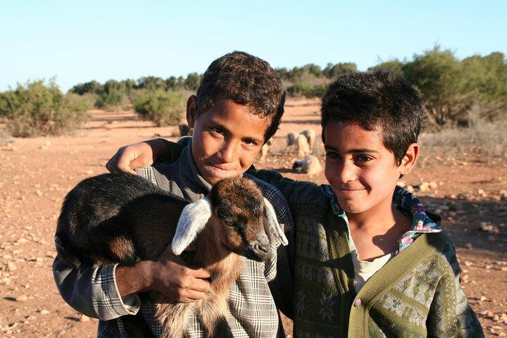 Surf & Explore : Essaouira, Imsouane & Taghazout