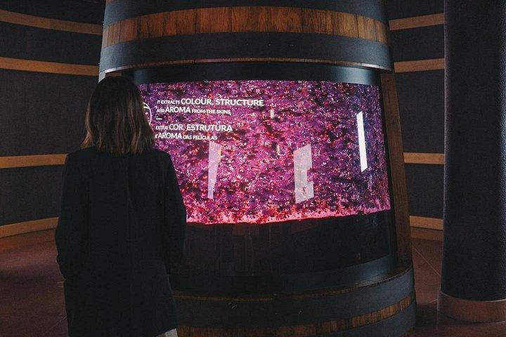 ポルト：ポート＆ワイン体験博物館（3つのワインテイスティング付き）