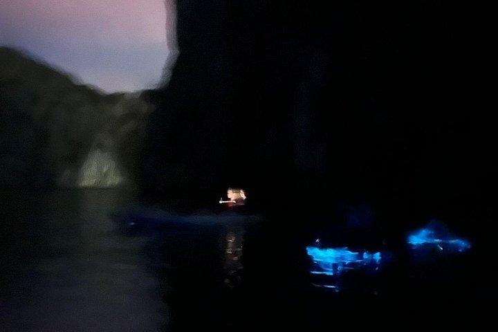 Bioluminescent Plankton Kayak båttur