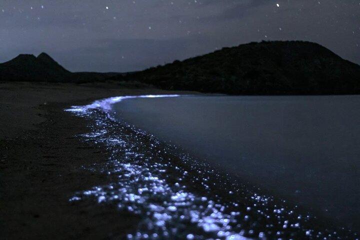 Biolumineszente Kajaktour durch Plankton