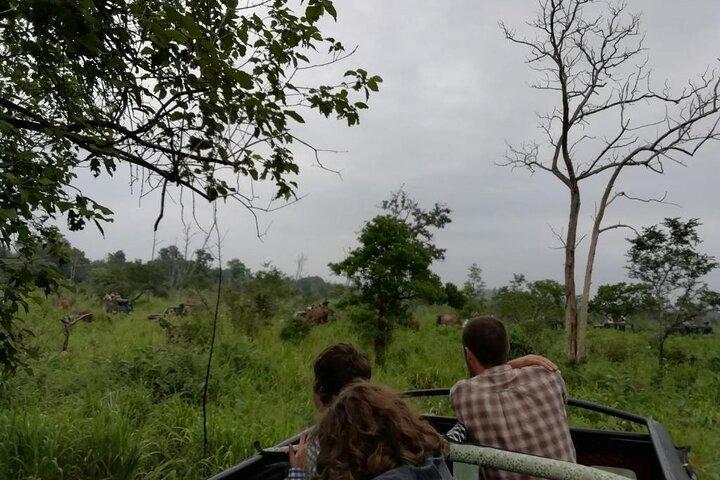Wild Track Safaris im Minneriya Nationalpark 3 Stunden und halber Tag