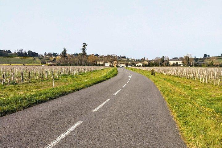 食事付き電動自転車ツアー：ボルドーからサン・テミリオンまで