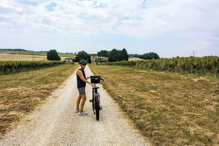 食事付き電動自転車ツアー：ボルドーからサン・テミリオンまで