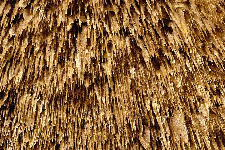 Heldagsudflugt til Drach-grotterne og Hams-grotterne