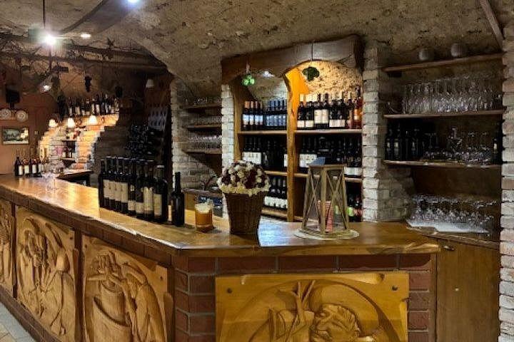 Small Carpathian Wine Tasting and Red Stone Castle Tour