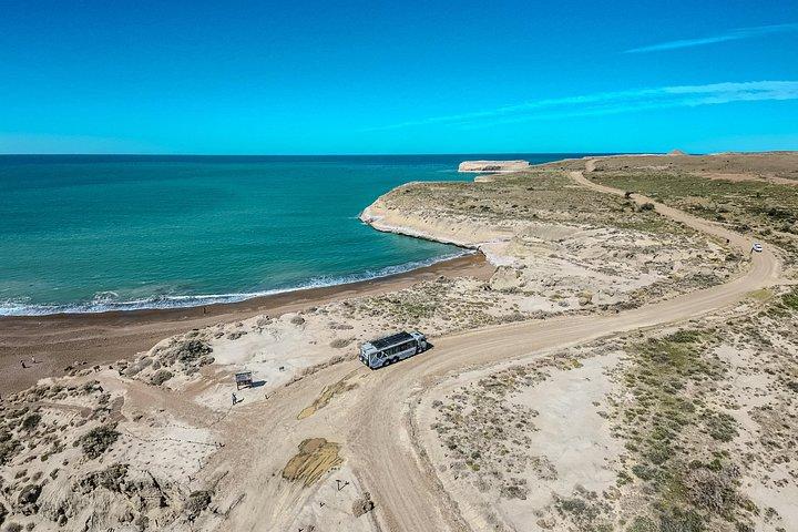 Monte Leon 4x4 Sea Lions and Penguins