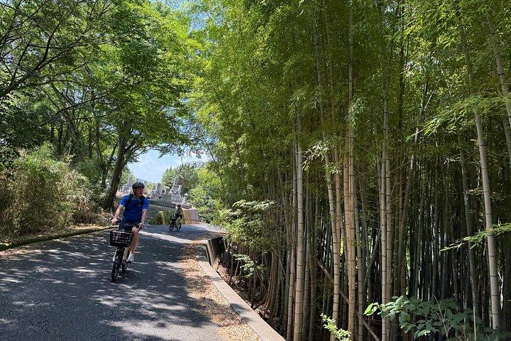Authentic Hiroshima: Island E-Bike Ride & Local Food Tasting