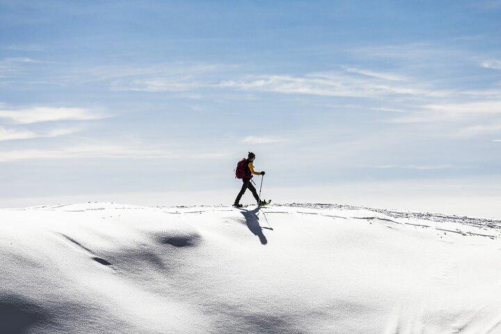 Snowshoe Hike in Tromso – Arctic Silence with Expert Guides