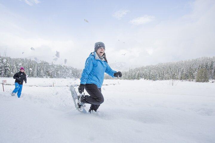 Passeio de neve em Tromso – Silêncio Ártico com Guia Especialista