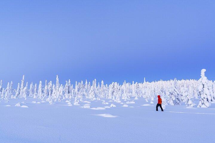 Passeio de neve em Tromso – Silêncio Ártico com Guia Especialista