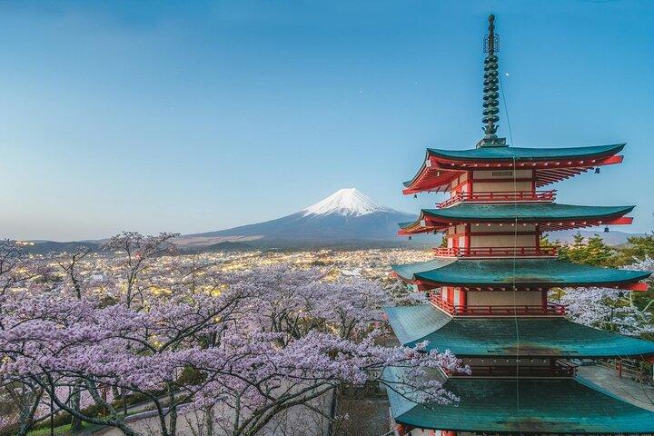 英語ドライバー付き富士山カスタムガイド付き日帰りツアー