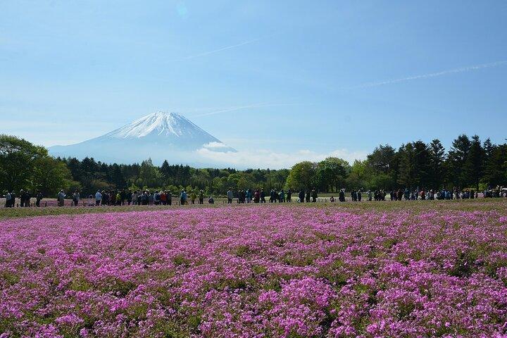 英語ドライバー付き富士山カスタムガイド付き日帰りツアー
