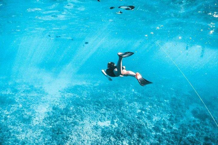 Tiran Island Boat Trip with Diving & Snorkeling _Sharm El Sheikh