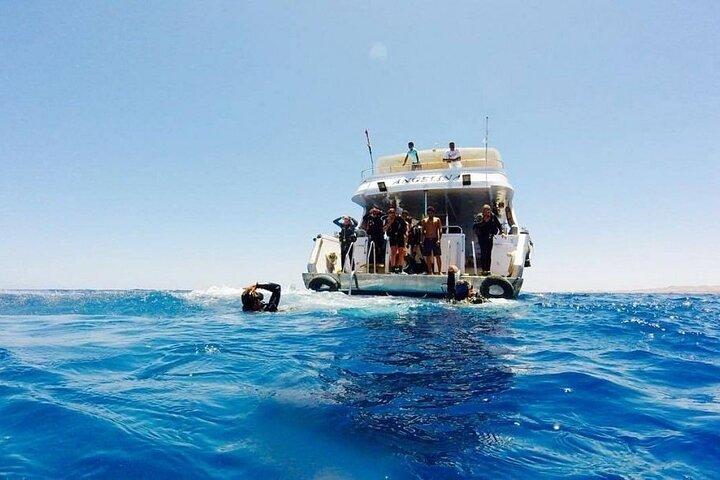 Tiran Island Boat Trip with Diving & Snorkeling _Sharm El Sheikh