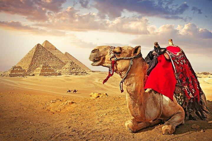 Cairo Tour by Plane (Museum & Pyramids) from Sharm El Sheikh