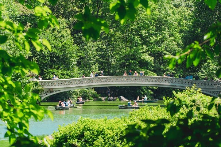 Central Park Pedicab Tour with Top of the Rock Access