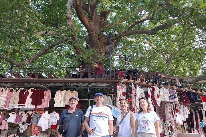 From Istanbul: Bursa & Mt Uludag – Ferry Incl. Cable Car Opt.
