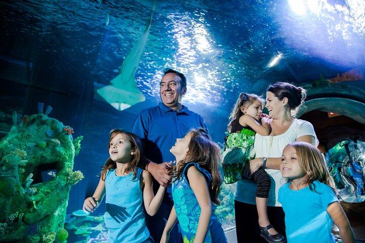 ZEELEVEN Toegangsbewijs Aquarium Arizona