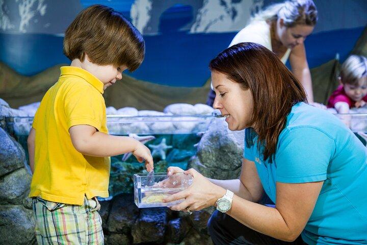 SEA LIFE Kansas City Aquarium Admission Ticket