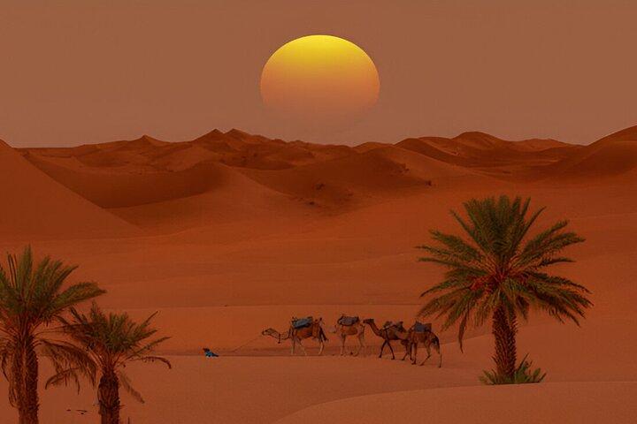 Aventure de 2 jours dans le désert du Sahara de Fès à Merzouga avec Camel Trek